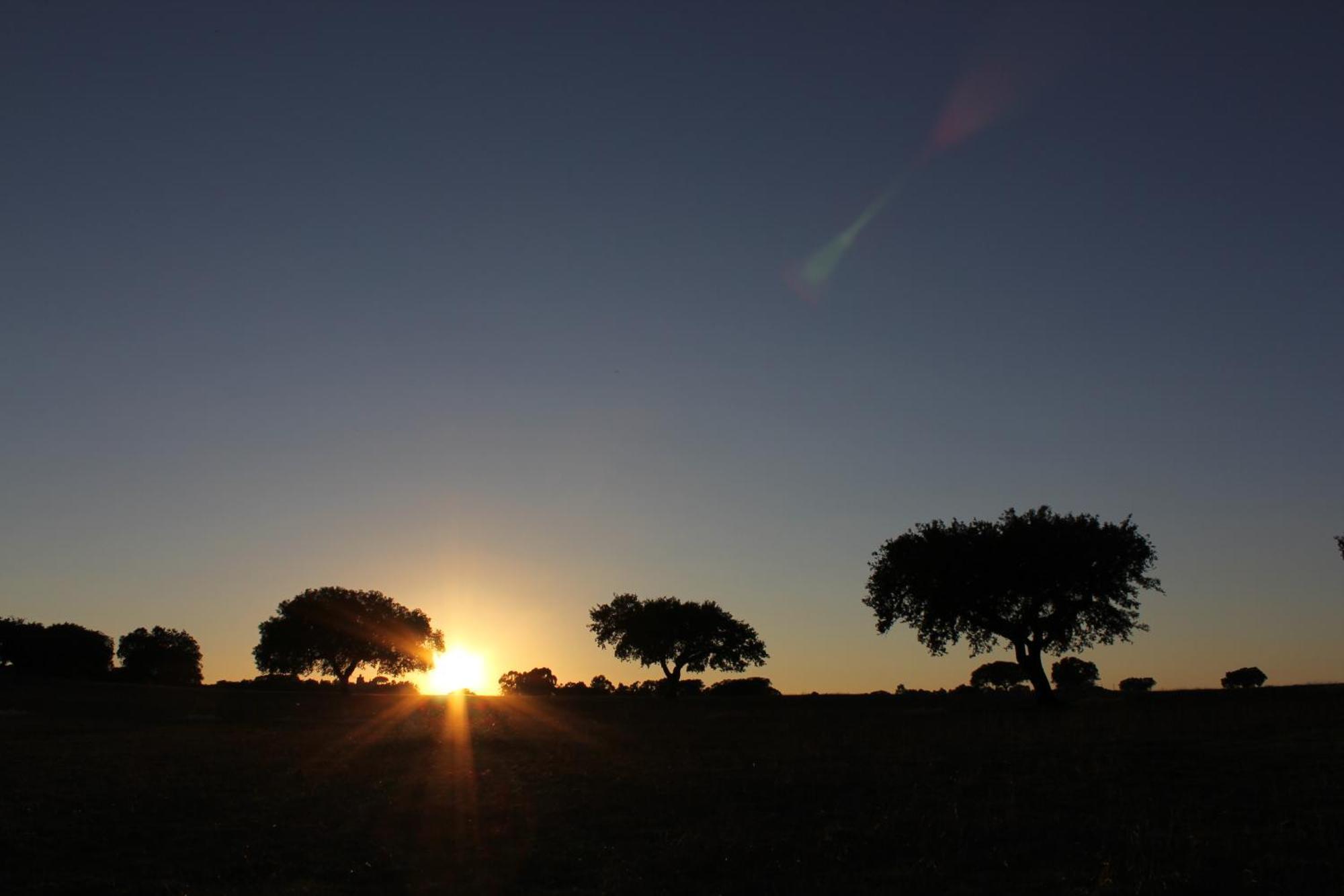 Pateo Dos Solares Charm Hotel Estremoz Dış mekan fotoğraf